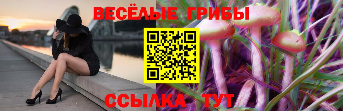 Феодосия  Галлюциногенные грибы мицелий  Вход с VPN  Псилоцибиновые грибы GOLDEN TEACHER 